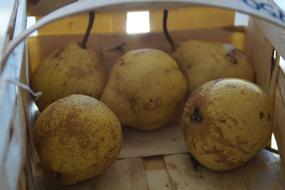 sweet fresh pears