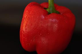 pepper with water droplets