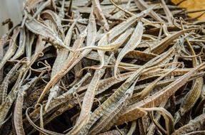 dried seafood