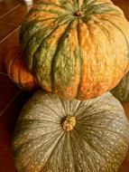 fresh pumpkins home