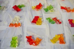 Cute sweet bears