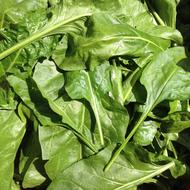 Herbs Vegetables Plants