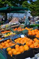Fresh oranges in a box