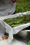 Cooking salad herbs