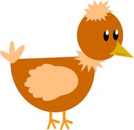 chicken drawing