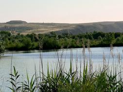 Landscape of a summer calm lake