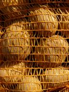Vegetables in mesh bag
