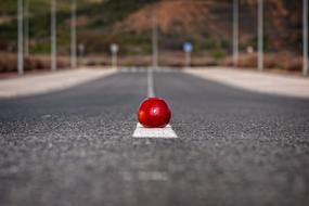 red apple lies on a road marking