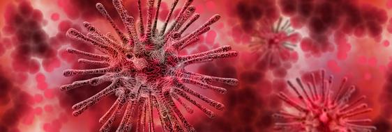 virus microscope infection red