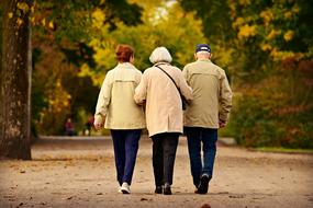 Three Elderly People walking together in park