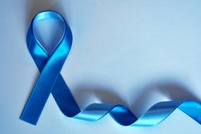 Blue Ribbon Prostate drawing