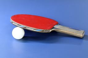 Table Tennis blue