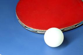 table tennis equipment