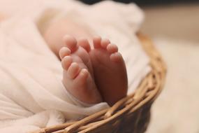 small Newborn Baby Feet