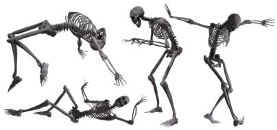 skeleton skull bones drawing