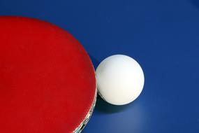 Table Tennis Sport red white