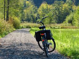 Ebike with load parked on path at forest