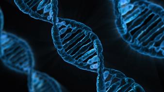 dna, biology, medicine as a blue drawing