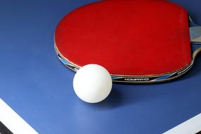 equipment for Ping-Pong