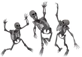skeletal bones anatomy drawing