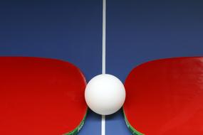 Table Tennis Ping-Pong Ball white