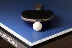 blue Table Ping-Pong