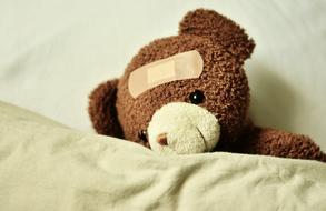 teddy bear with a band-aid on his head