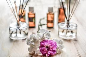 sticks Fragrance