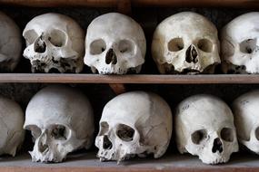Skull Frame anatomy