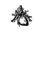 black heart anatomy drawing