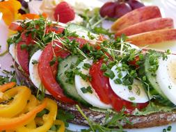 sandwich with vegetables and egg