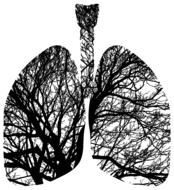 lungs branches tree drawing