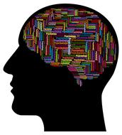 brain shaped colored psychology word cloud in human head drawing