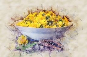 Dandelion Health Salad drawing