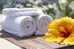 Towel Hibiscus flowers Clean