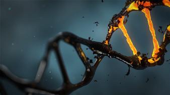 dna molecule medicine drawing