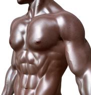 shiny muscular male body