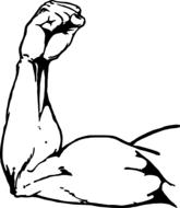muscular male arm, drawing
