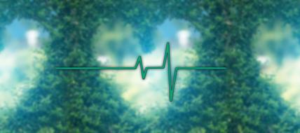 heart and pulse curve at green background