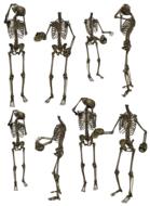 set of skeletons with skull in hand, drawing