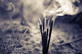 Burning Incenses fog