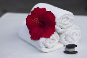 Towel Hibiscus red Clean
