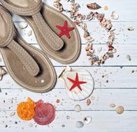 Sandals Seashells Sea wood