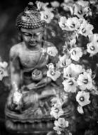 Buddha statue in flowers