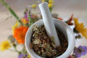 Medicine Bach Flowers