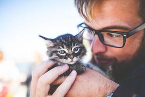 Cat and man