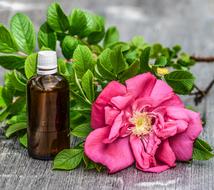 Essential Oils Alternative rose