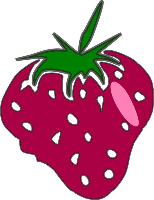 strawberry pink fruit food nature