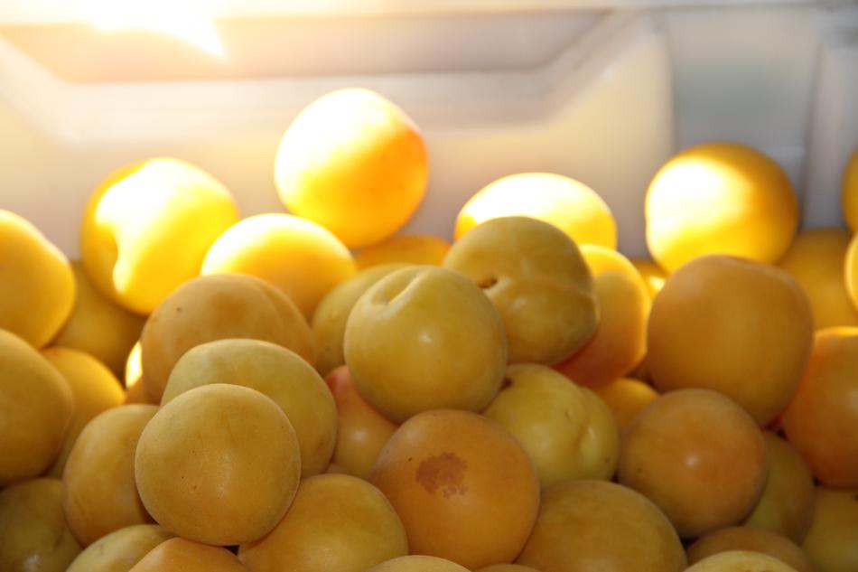Plums Fruit Juicy
