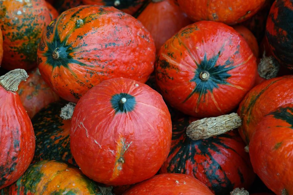 Red ripe vegetables free image download